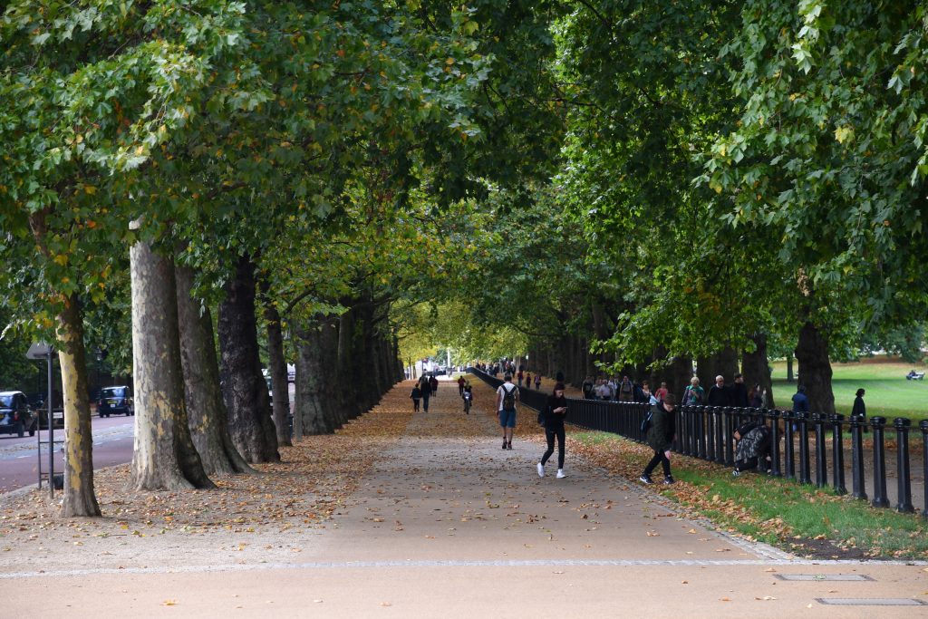 セント・ジェームズ・パークの西側のグリーンパーク入り口辺り。ロンドンの公園はどこもでかい。