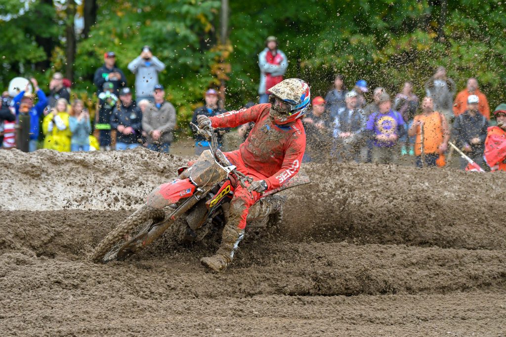 ウィンダムは太ってなんだか貫禄のある乗り方になったような